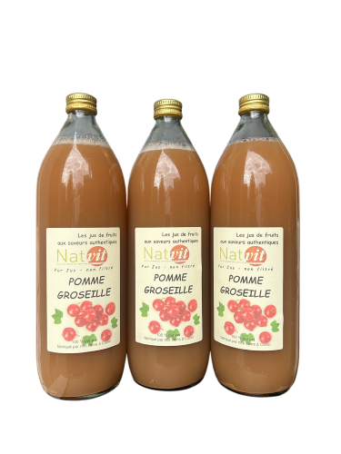 Pur jus Pomme Groseille Lot de 3 bouteilles de 1L